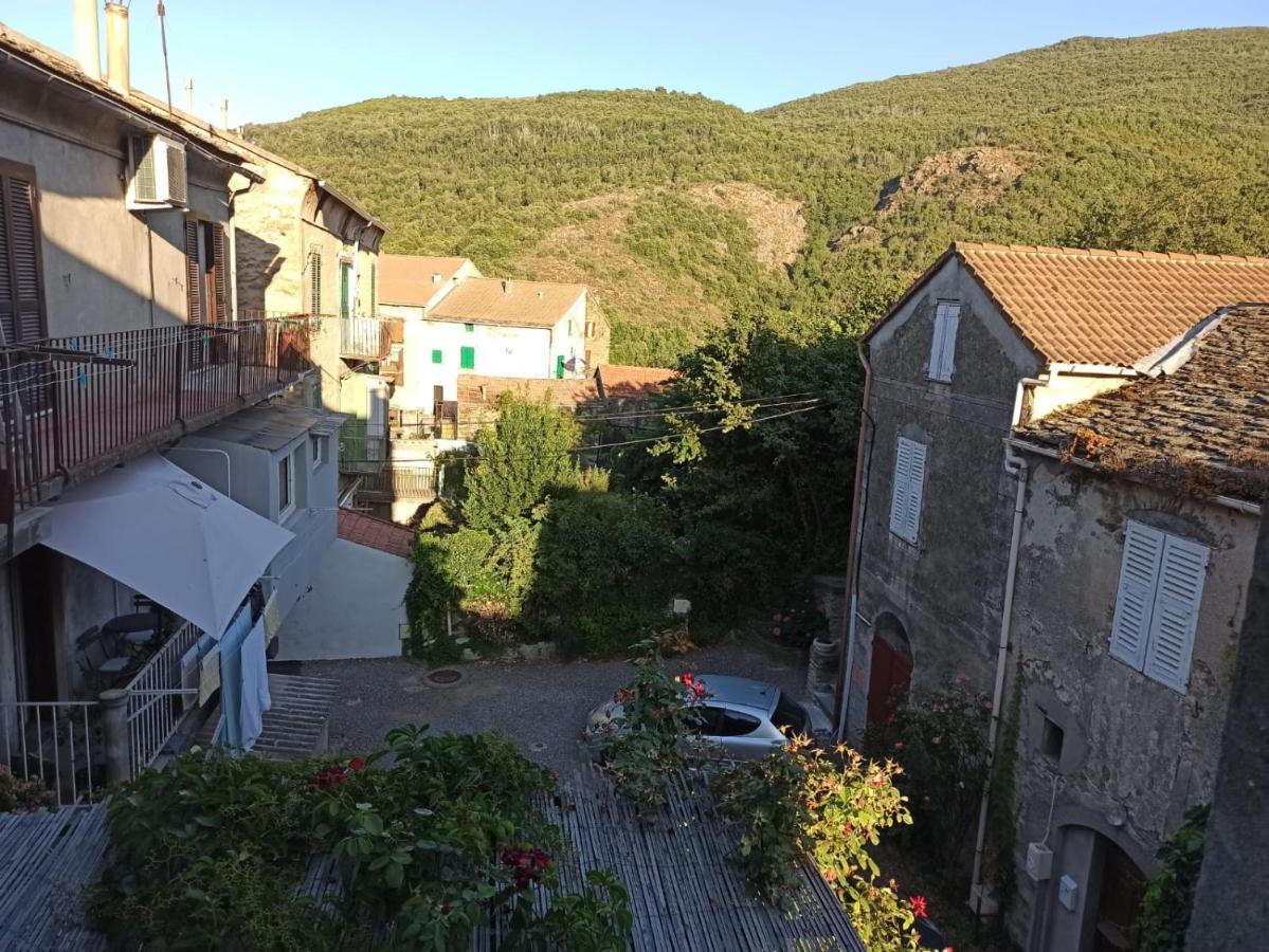 Chez Laurette Murato Appartement Buitenkant foto